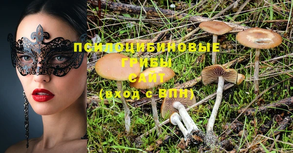 прущие крисы Алексеевка