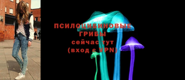 прущие крисы Алексеевка