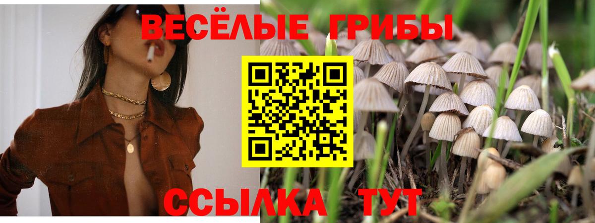 Галлюциногенные грибы мухоморы Кулебаки
