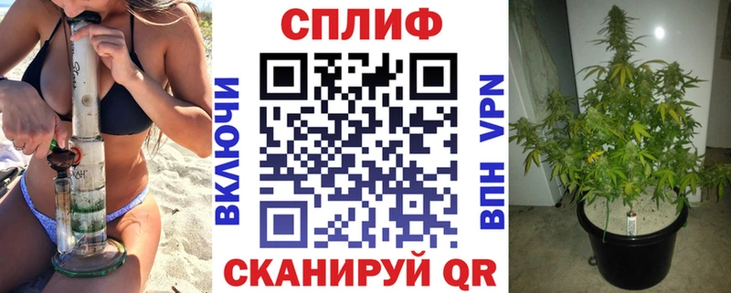 Конопля сатива  дарк нет состав  Кулебаки 