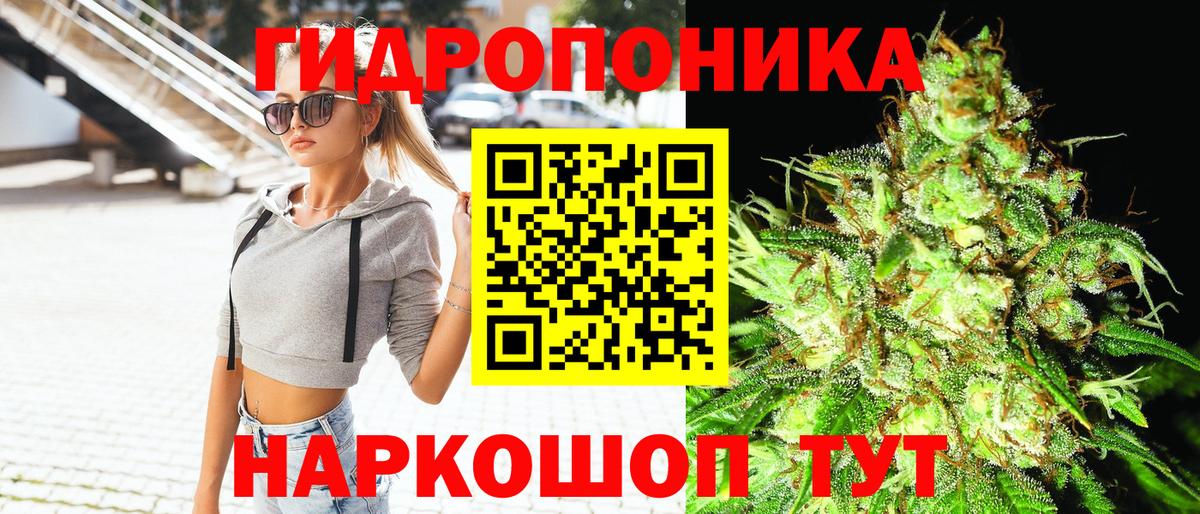 Шишки марихуана планчик Кулебаки